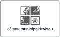 Município de Viseu